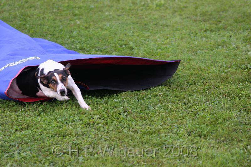 jubil.lusten. 053.jpg